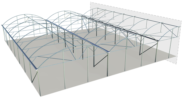 Multilink CBV 21ft model polyhouse
