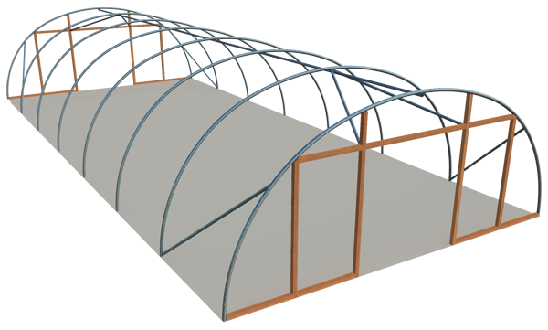 Single span standard 24ft model polyhouse